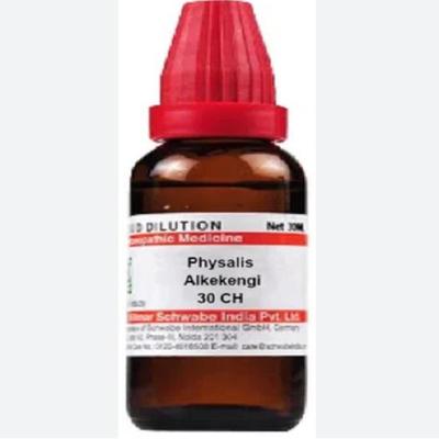 Dr Willmar Schwabe India Physalis Alkekengi Dilution 30 CH(30 Ml Dilution)