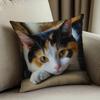 Contemplative Calico Cat Decorative Pillow Cover 18x18 Inch - Contemporary Home Decor with Zipper Closure, Cat Pillow Covers