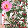 Heminredning – Konstgjorda växter & blommor
