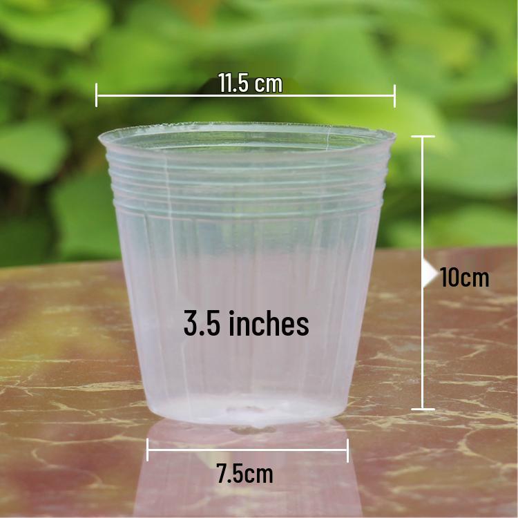 Translucent Plastic Phalaenopsis Planting Pots – 2.5", 3.5", 4" Sizes