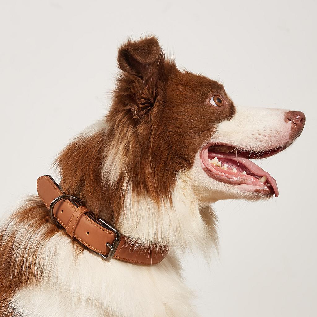 New Pet Genuine Leather Collar Tarp Adjustable Dog Collar Small and Medium Dog Neck Ring