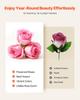Forever Flowers, 50 Preserved Roses In a Box, Eternal Flowers Immortal Bouquet Birthday Present for Delivery Prime Women Her Wife Mothers,