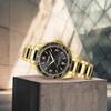 Wenger EXECUTIVE Stainless Steel Case Black Stainless Steel Quartz 200m Water Black and Executive Men's Watch, (316L), Dial, Bracelet, Movement,