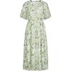 Juzhi Annakou Women's Botanical Print Chiffon Dress