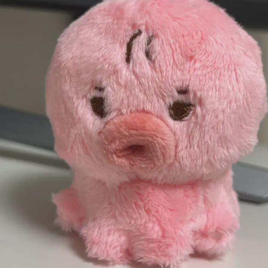 

Theboyz Sunoo Doll Данко