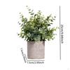 Plant Green -art Decor for Bedroom Inner Garden Terrace Balcony