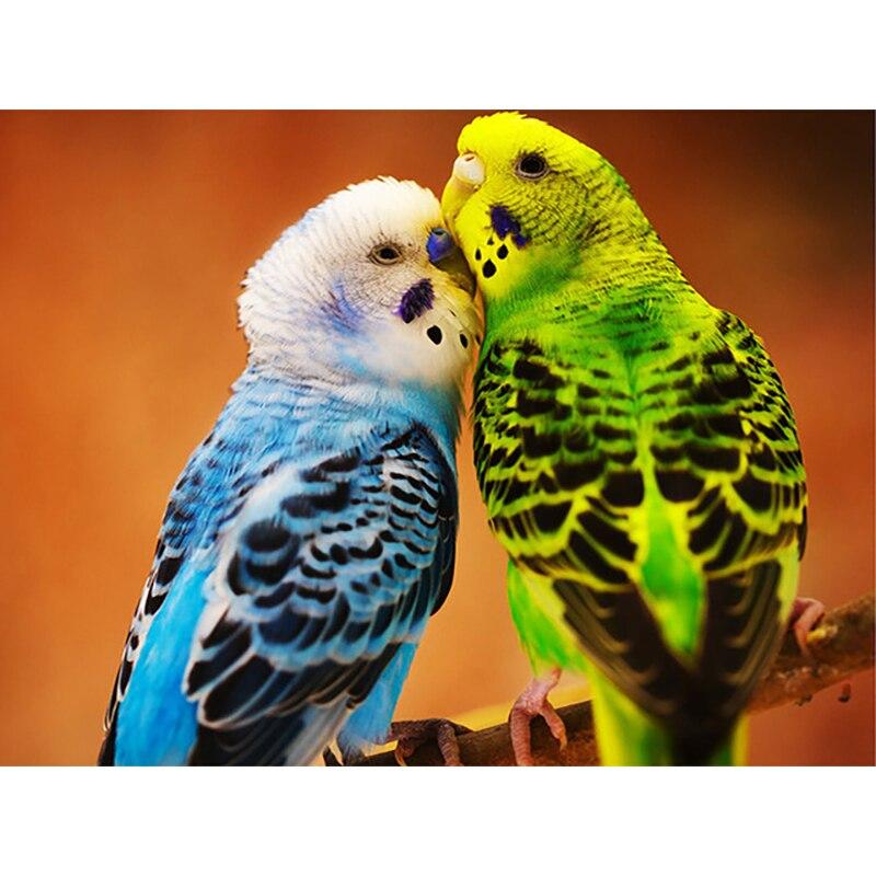 

5D DIY алмазная живопись попугай Алмазная вышивка животное вышивка крестиком стразы полный круглый дрель ремесла домашний декор подарок Full Round 15x20CM