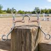Continental Style Horse Training Equestrian Equipment Strong for Schooling