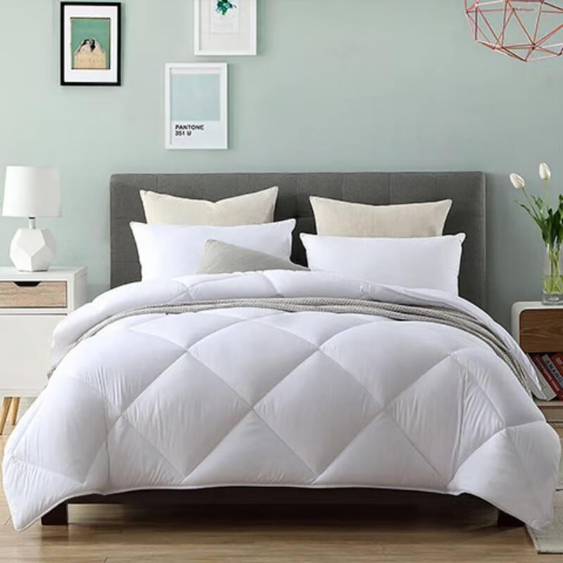 Mengjie Antibacterial Cloud Feel Four Seasons Quilt