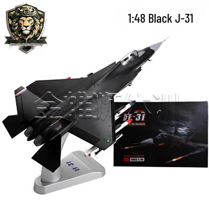 J-31 Fighter Jet Model