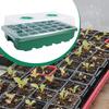 Seedling Starting Tray Reusable 24 Cells Sturdy with Vents Plant for Hydroponic