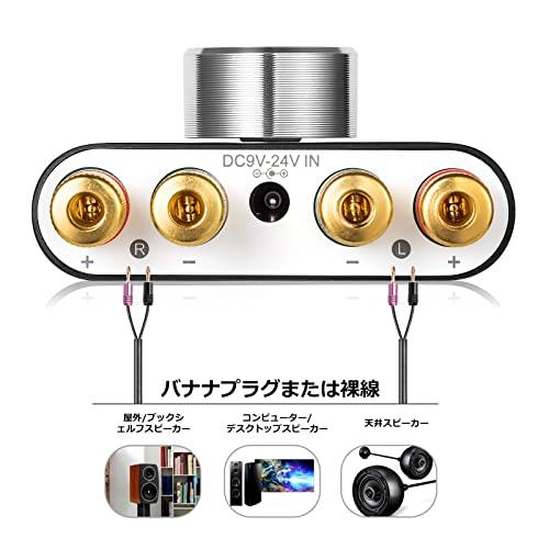 Nobsound New NS-01G Pro Power Amplifier, Bluetooth 5.0, 100W, Amplifier, Speaker, HiFi Audio, with Power Supply (Upgraded Version)