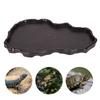 NW‑29 Plastic Reptiles Feeder Basin Snake Frogs Drinking Feeding Dish Landscape DecorationsDeep Coffee Color