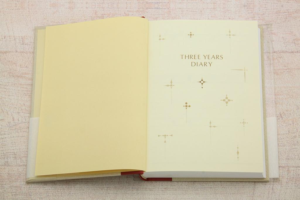 Apica Horizontal A5 No Date D307 3-Year Diary, Layout, Size, Display,