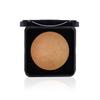 PAC Gebackener Highlighter - 03 (Boss-Züge)