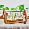 Hydroponic Vase Glass Transparent with Wooden Stand Creative Simple Desktop Green Plant Cultivation Container Home Decoration Or