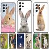 Bunny Rabbit Night Sky Moon Phone Case For Samsung Galaxy S24 S25 S23 S22 Ultra Note 10 20 Plus S20 S21 FE Cover
