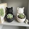 Kattformad Kruka Med Dräneringshål Unikt Designad För Suckulenter Små Blommor Och Kaktusar Sovrum Kontor Skrivbordsdekoration