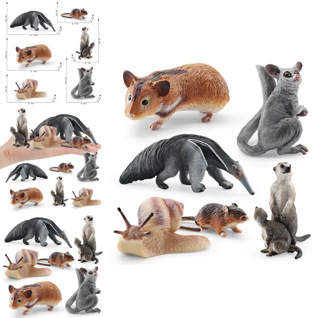Charming Forest Animal Figurines Collection With Hamster Snail Sugar Glider Mouse Meerkat Anteater Perfect For Kids' Play