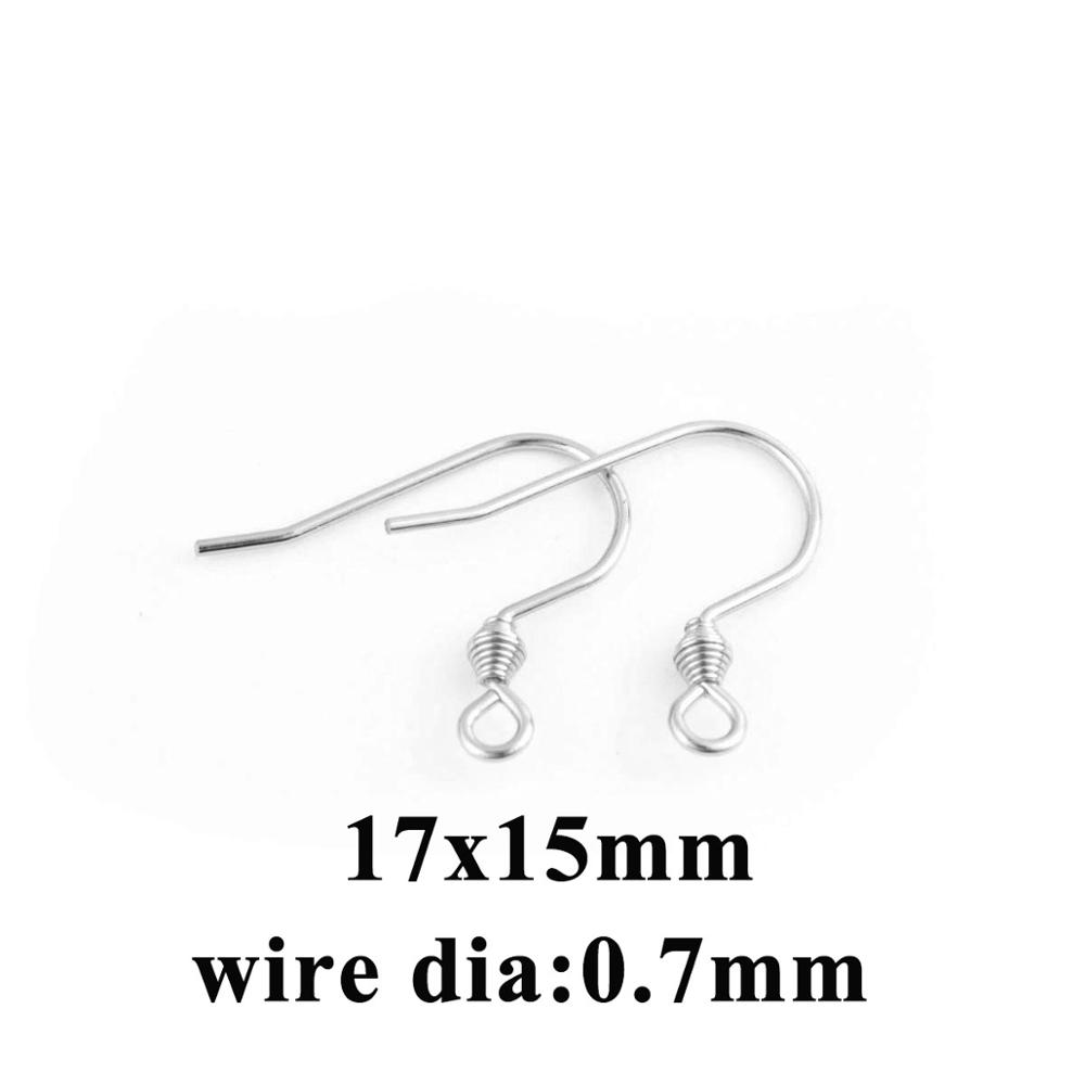 20-50 Stück Rosegold Farbe Edelstahl Ohrhaken Ohrringverschlüsse Schmuckzubehör DIY Ohrringdrähte Für Schmuckherstellung Zubehör