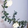 10/20/40 LED Simulation Cane Rose Flower String Lights Fairy Lights Home Party Decoration