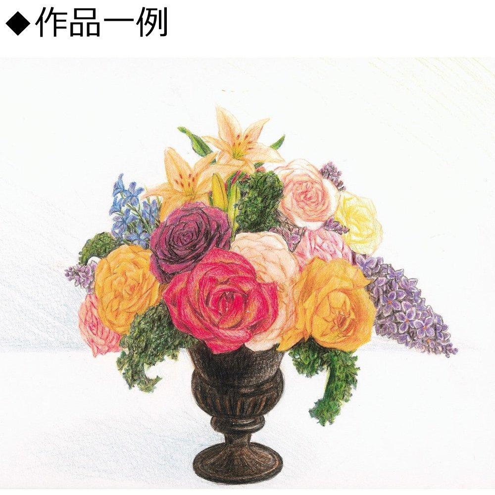 Tombow Colored 24 Wood Grain Colored Pencils, Colors, S-Kimonogatari (Natural Pencils), Tin, CB-RS24C