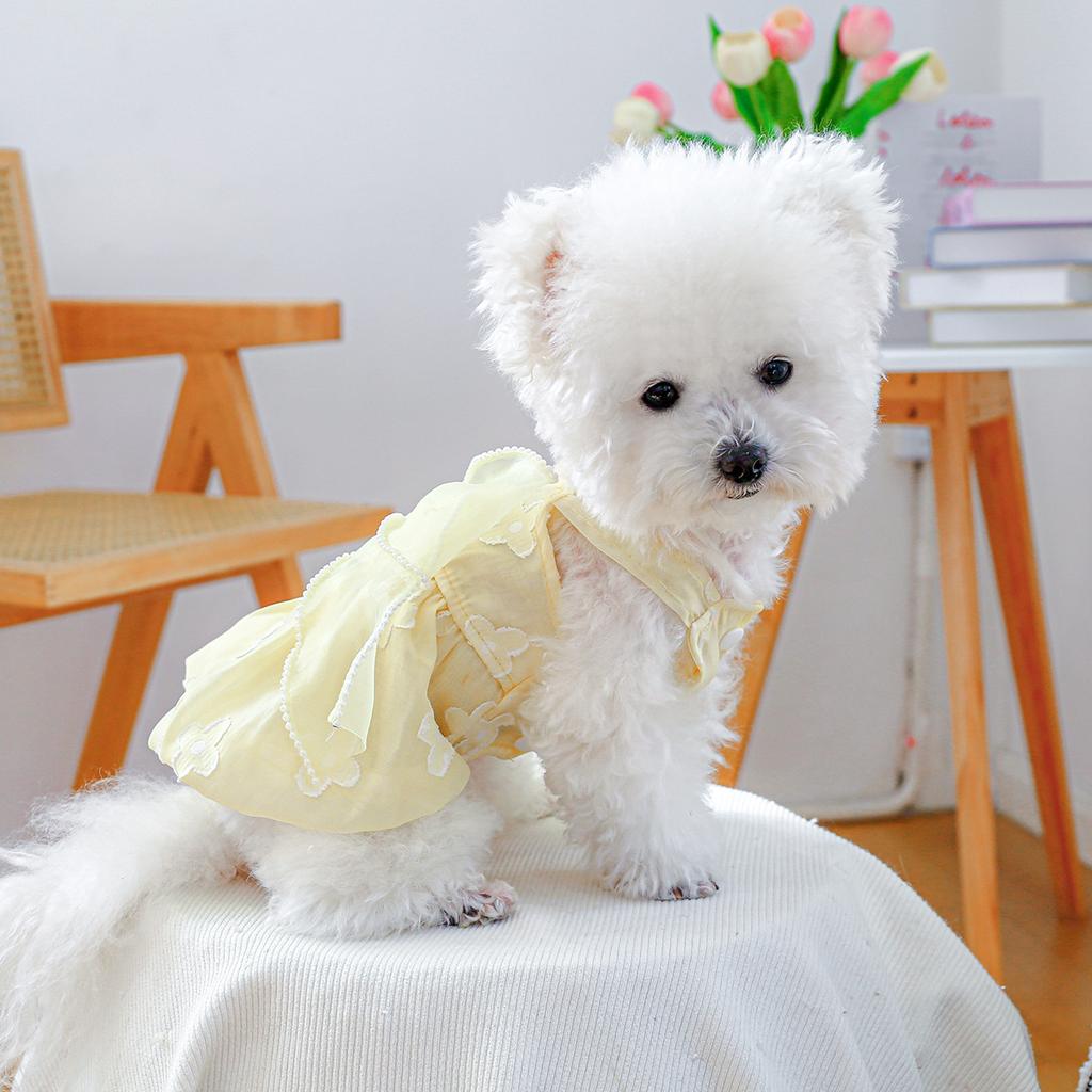 Pet Circle Small and Medium Dog Clothes Pet Supplies Pet Dog Clothes Flowering Yellow Diamond Skirt