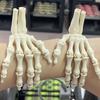 Flexible Joint Hand Bone Ornaments Realistic Design Zombie Festival Props  Home Ornament