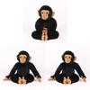 Meet Punch Monkey Plush Toy With Pp Cotton Filling For Kids And Collectors