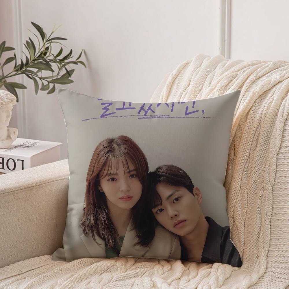 TV Series N-Nevertheless Pillow Case Home Decor Throw For Sofa Bed Car Room Decor Gift Idea