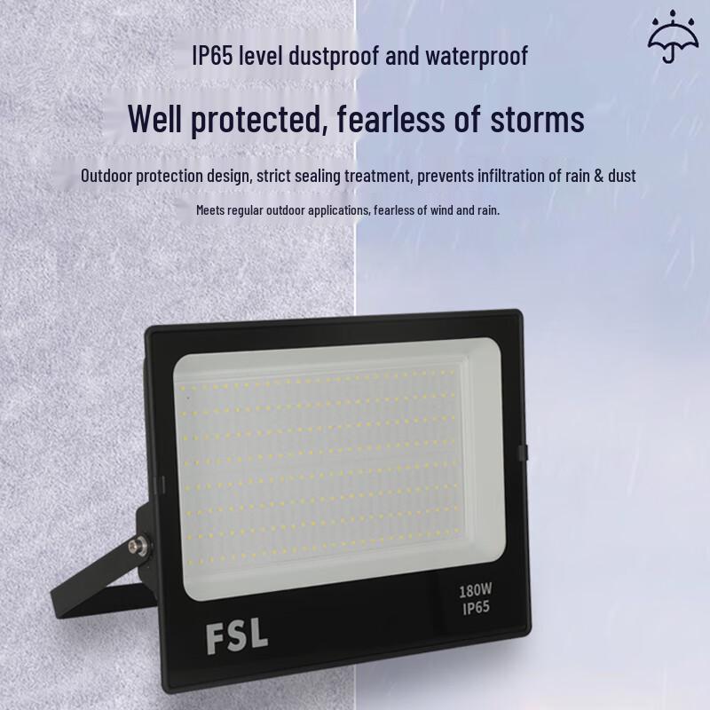 FSL Outdoor High-Power LED Floodlight
