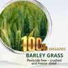 HelloYoung Pó de Erva de Cevada Orgânico 100% Natural Puro Erva de Cevada Baixo Açúcar