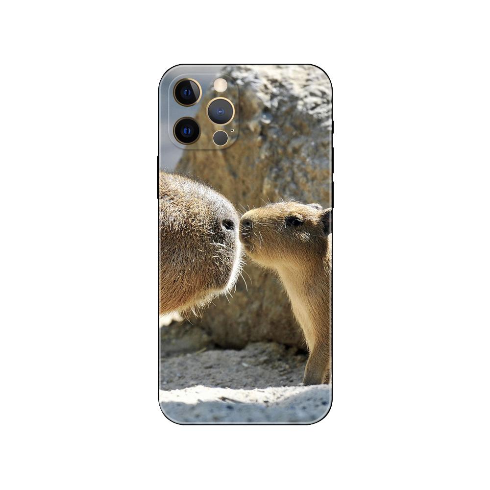 Capybara pouzdro na telefon pro iPhone 5 5s 2020se 6 6s 7 8 plus x 10 XR XS 11 12 13 mini pro MAX černý zadní kryt TPU
