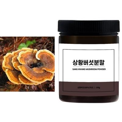 Domestic Sanghwang Mushroom 100% Powder 100g, 100g, 1 Piece