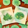 4PCS Memo Notes with Leaf Shape Smooth Writing Memo Sticker Strong Adhesive Reusable Practical Reminder Notes for Home Office