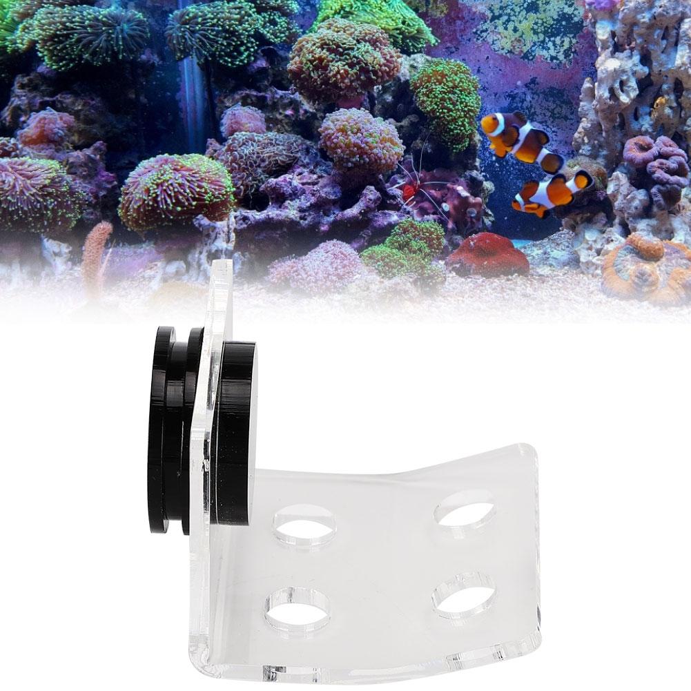 Aquarium Meerwasser Korallen Racks Halterung Halter Fischtank Knopfrahmen Verbesserter Saugfuß 4 Löcher