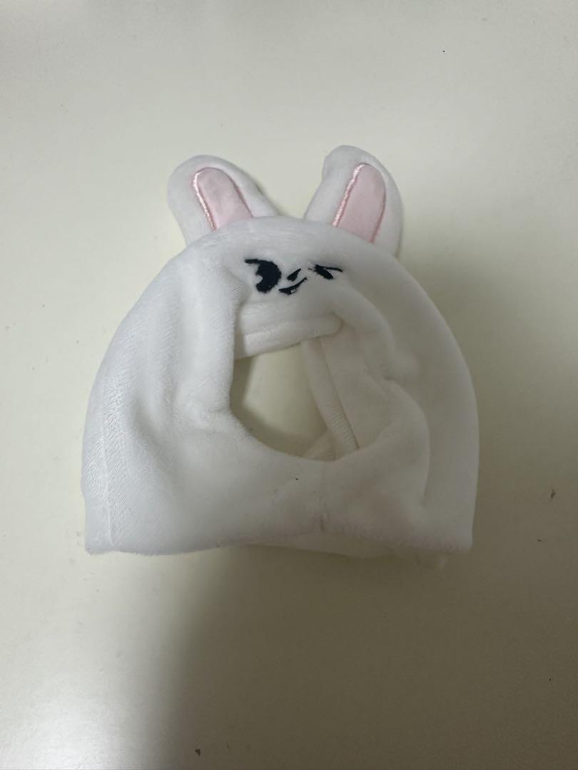 

[Б/У] Reno Leavitt Ручка-фонарик Чехол вер.2 Stray Kids