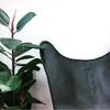 Leather Living Room Chairs Butterfly Chair for Adults Powder Coated Iron Frame