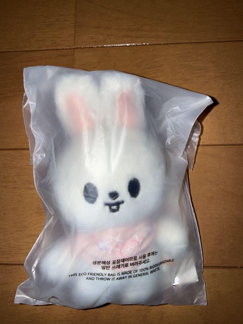

[USED] StrayKids SKZOO Leebit 10cm Plush Toy