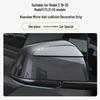 Tesla Model 3/Y Mirror Protection Strips