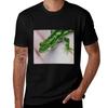 CloseUp Green And White Gecko TShirt Work Style Casual TShirt