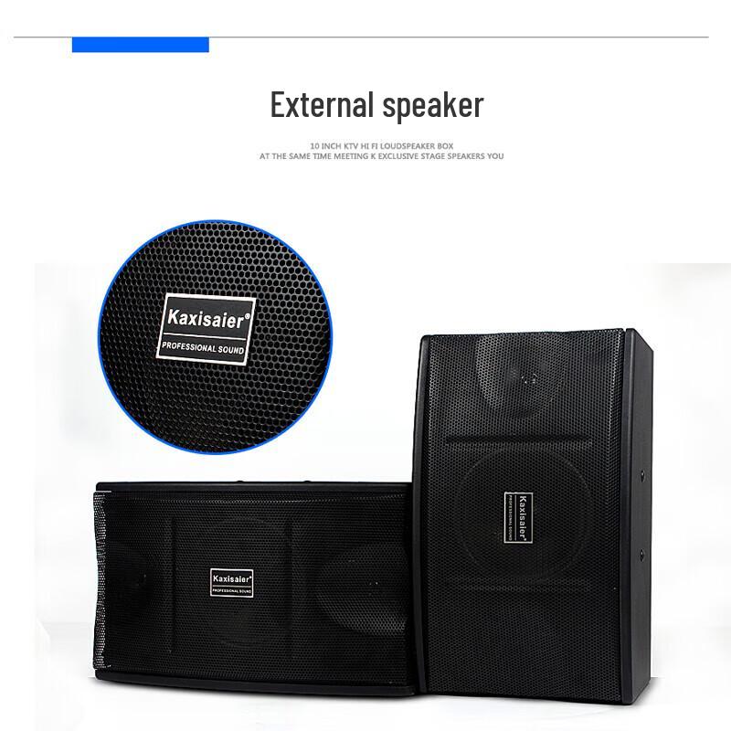KAXISAIER 10-inch Professional KTV Karaoke Speaker