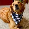 Bandanas para Perros Bufanda Grande para Mascotas Bandana Para Perro Algodón Cuadros Lavable Pajarita Collar Gato Cachorro Bufanda Triangular Babero Accesorios para Perros