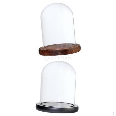 2 Stück Cloche mit Holzsockel Blumenlandschaft Halter Abdeckung