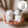 Pack of 2 Ergonomic Candle Mold Crafting Accessories Moulds Rabbits Shape for Resin Creations and Unique Gift Making