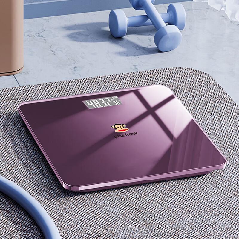 

Paul Frank Electronic Scale