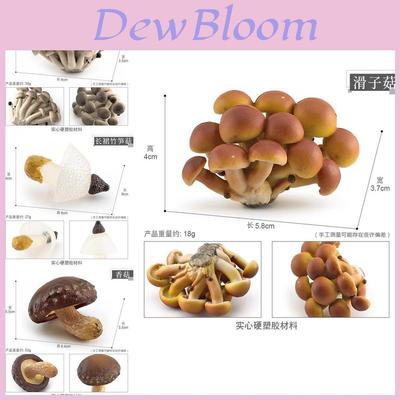 Lebensechte Pilzsammlung Mit Detaillierten Designs von Shiitake, Enoki, Matsutake und Giftigem Schirmling Perfekt Für Statische Ausstellungen