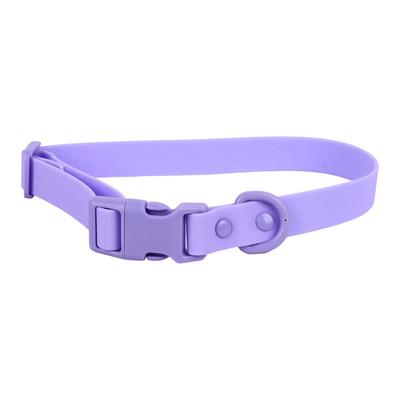 Köpek – Köpek Tasmaları ve Tasma Kayışları