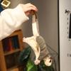 Flying Squirrel Sugar Glider Plush Toy - Cute Children's Gift with Magnetic Clothes