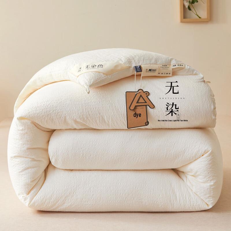 JieLiYa Soft Winter Quilt